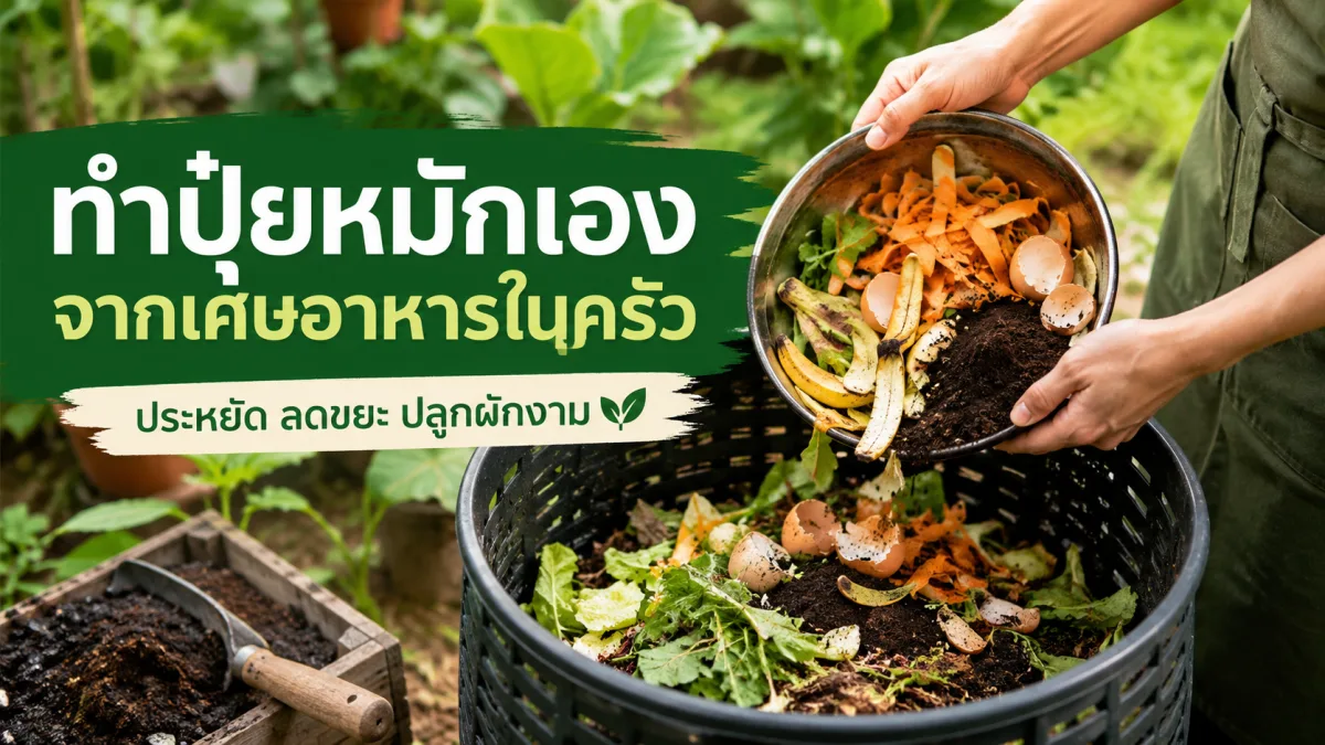 ทำปุ๋ยหมักเองจากเศษอาหารในครัว