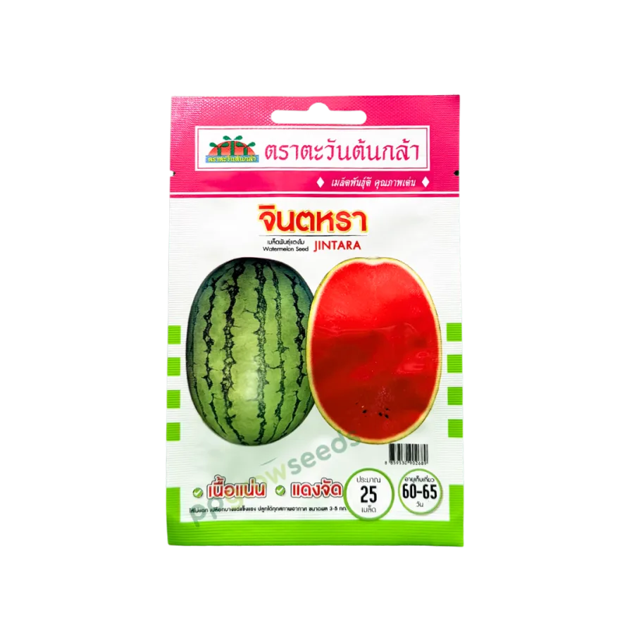 แตงโมลาย จินตรา