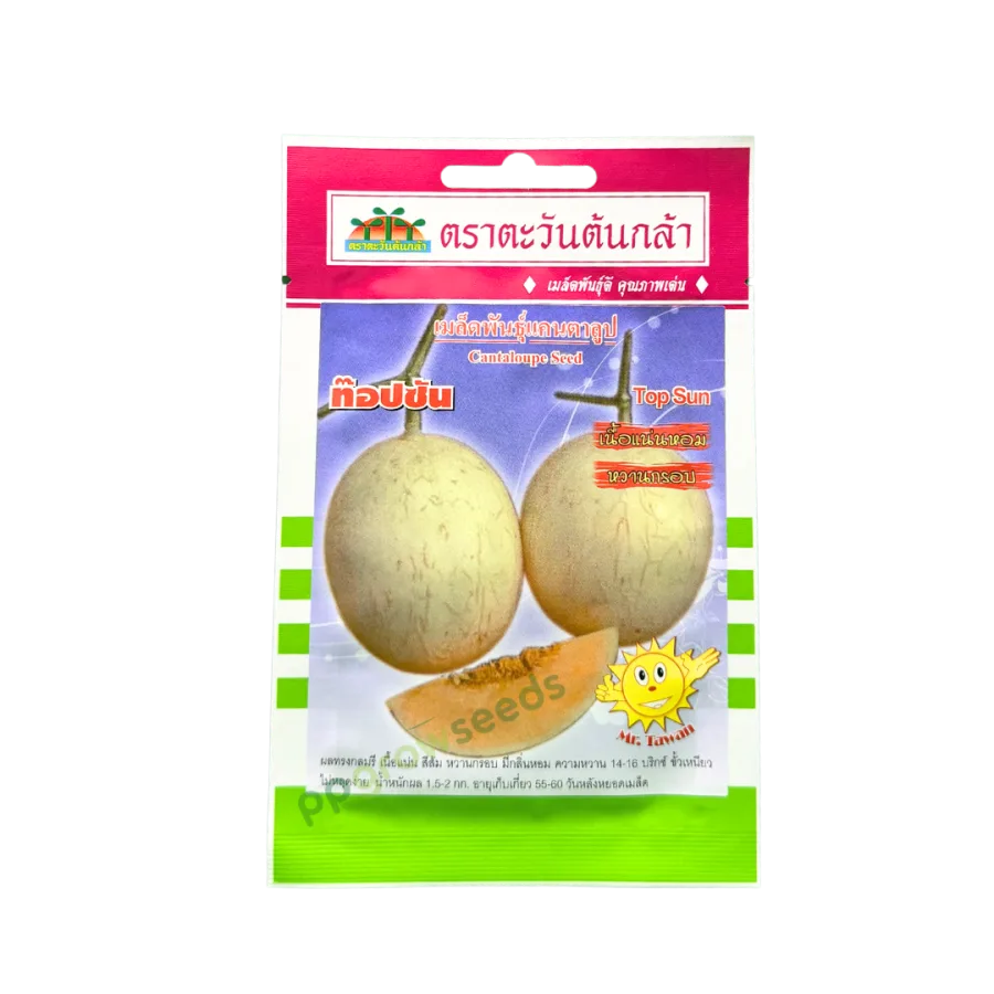 แคนตาลูป ท็อปซัน