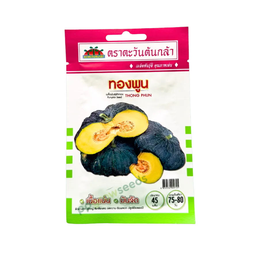 ฟักทอง ทองพูน