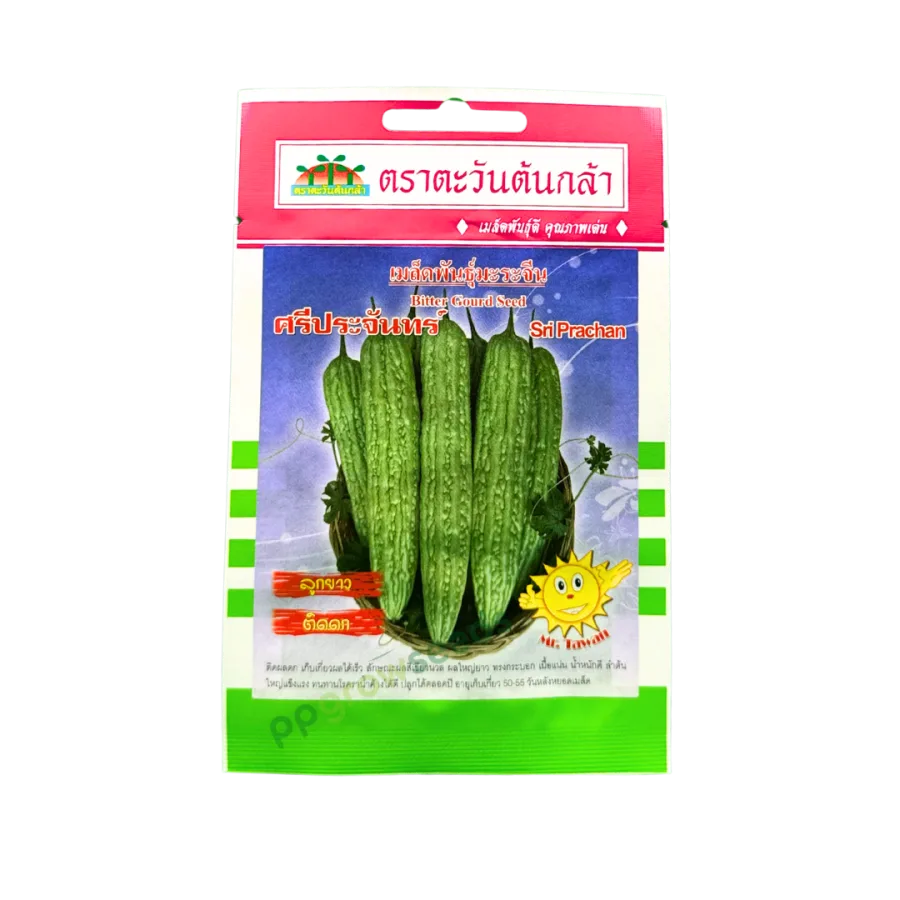 มะระจีน ศรีประจันทร์
