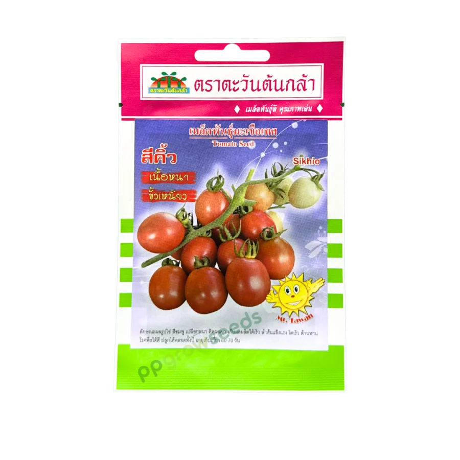 มะเขือเทศสีดา สีคิ้ว