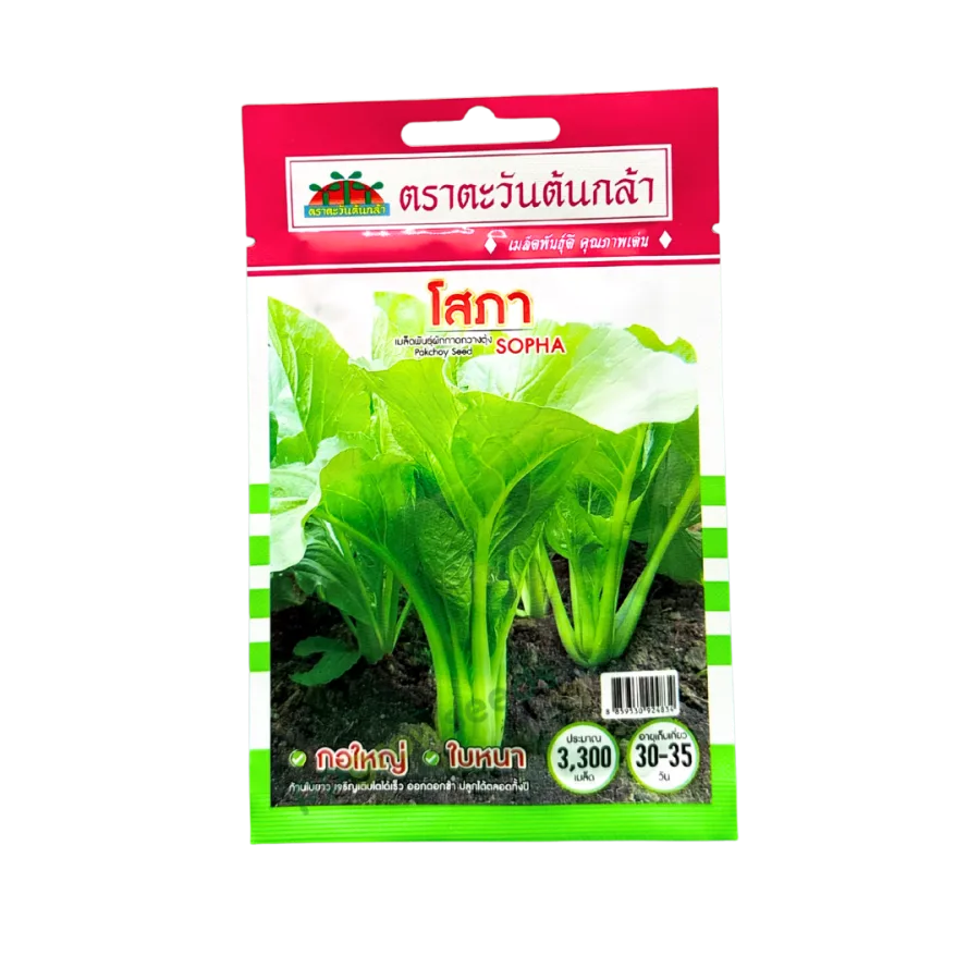 กวางตุ้งใบ โสภา