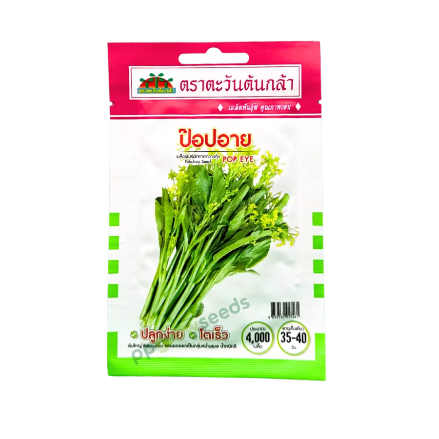 กวางตุ้งดอก ป๊อปอาย