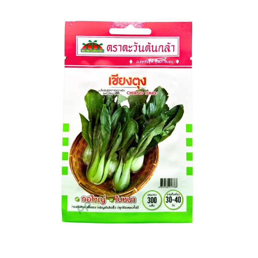 กวางตุ้งฮ่องเต้ เซียงตุง