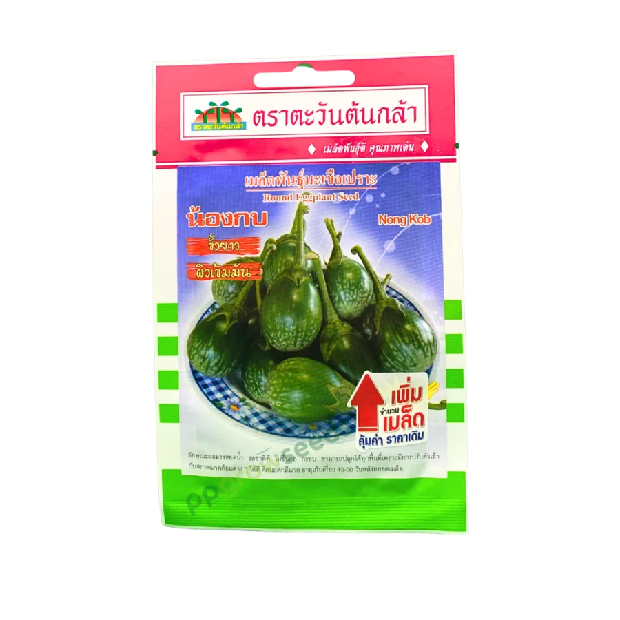 มะเขือคางกบ น้องกบ