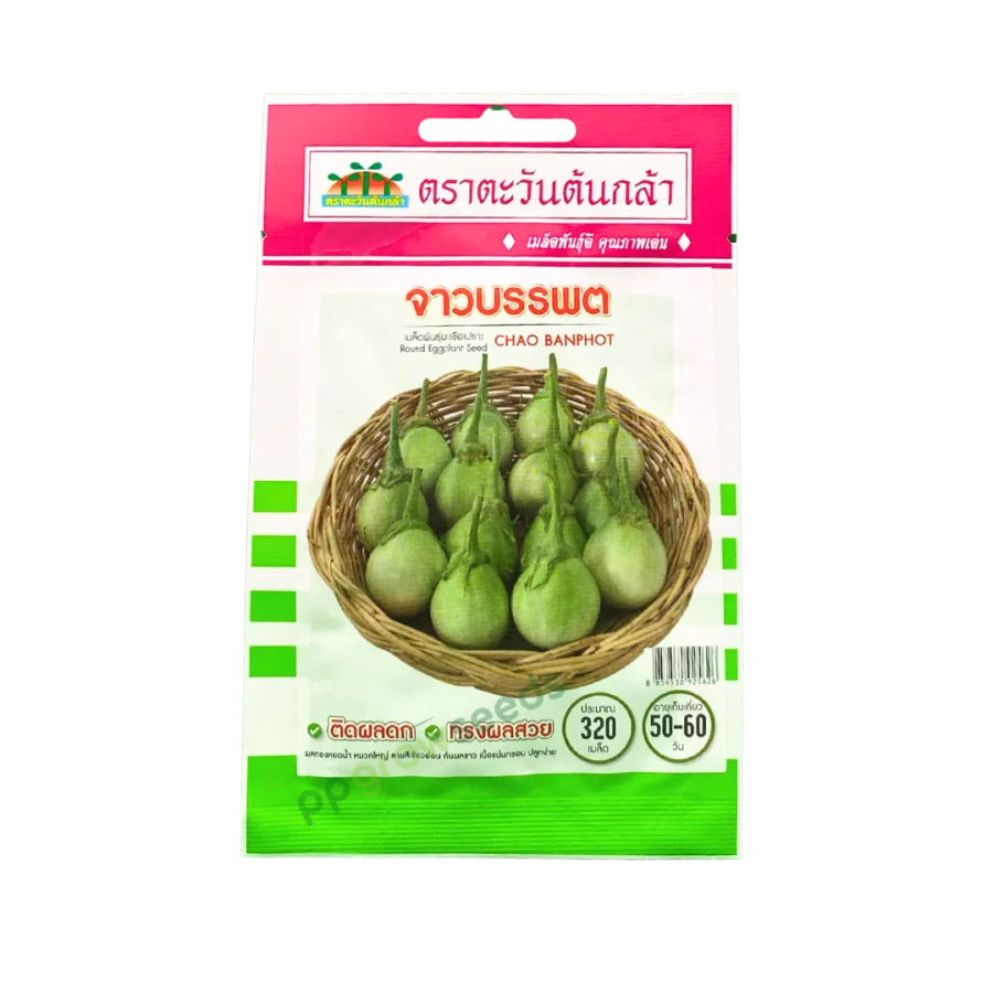 มะเขือเปราะ จาวบรรพต