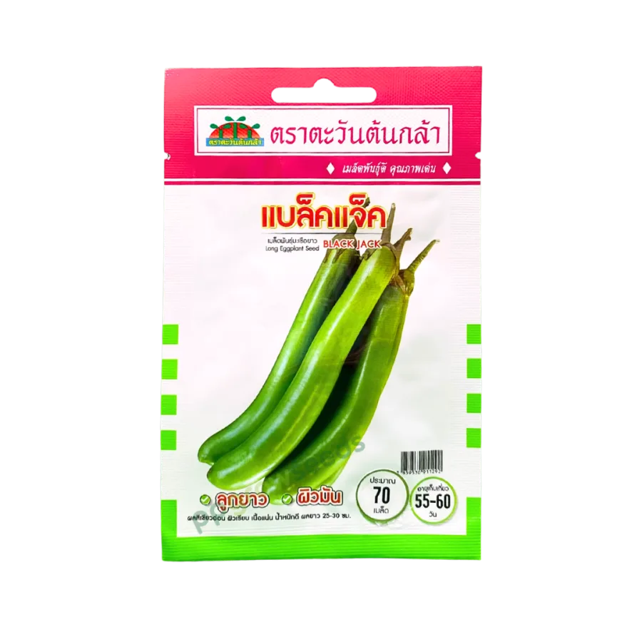 มะเขือยาวเขียว แบล็คแจ็ค
