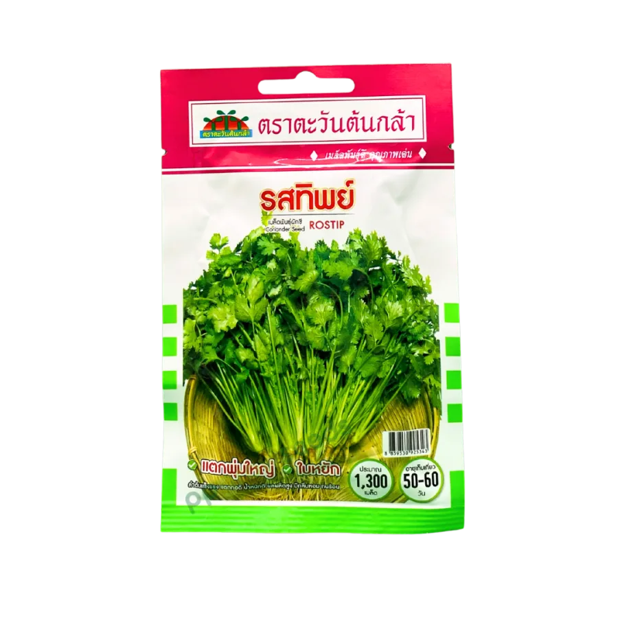ผักชีไทย รสทิพย์