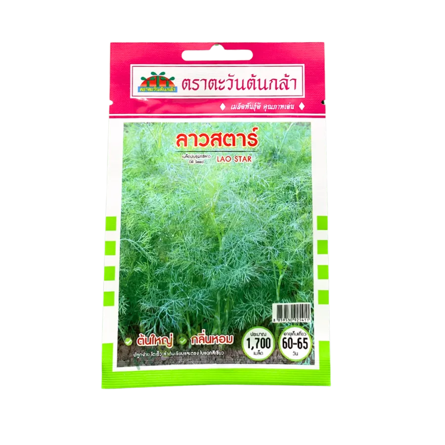 ผักชีลาว ลาวสตาร์