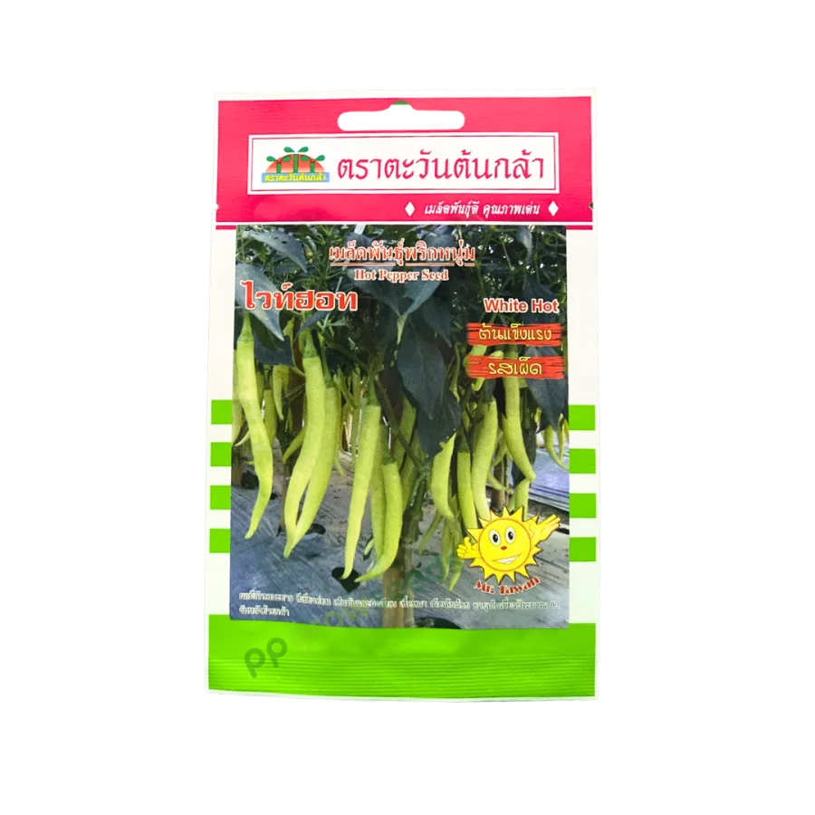 พริกหนุ่มขาว ไวท์ฮอท