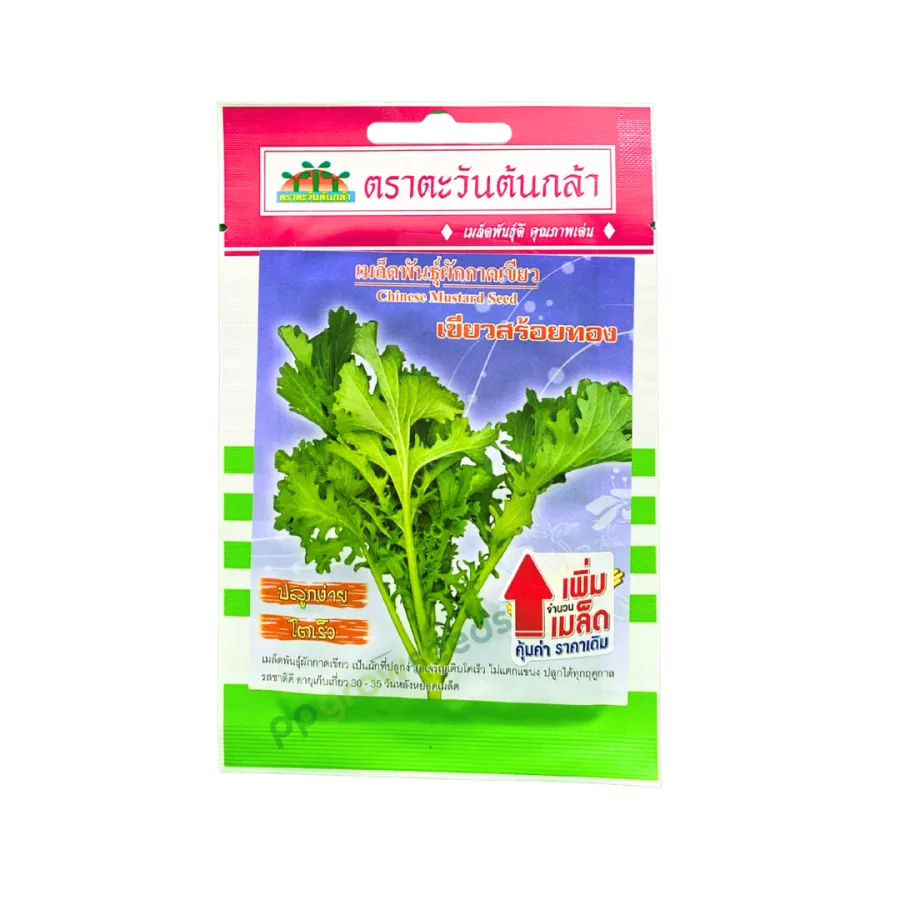 ผักกาดเขียว เขียวสร้อยทอง