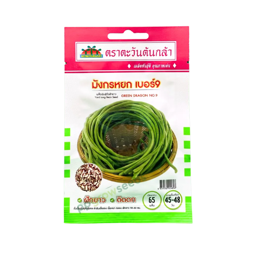 ถั่วฝักยาว เม็ดลาย มังกรหยกเบอร์9