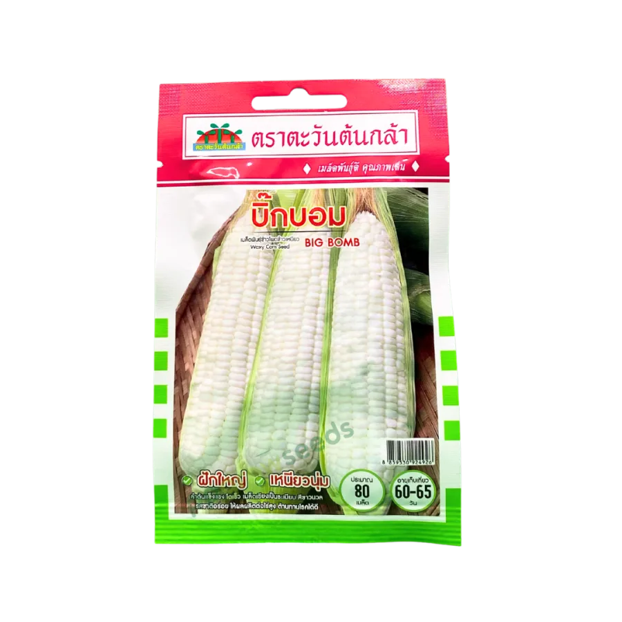 ข้าวโพดขาว บิ๊กบอม