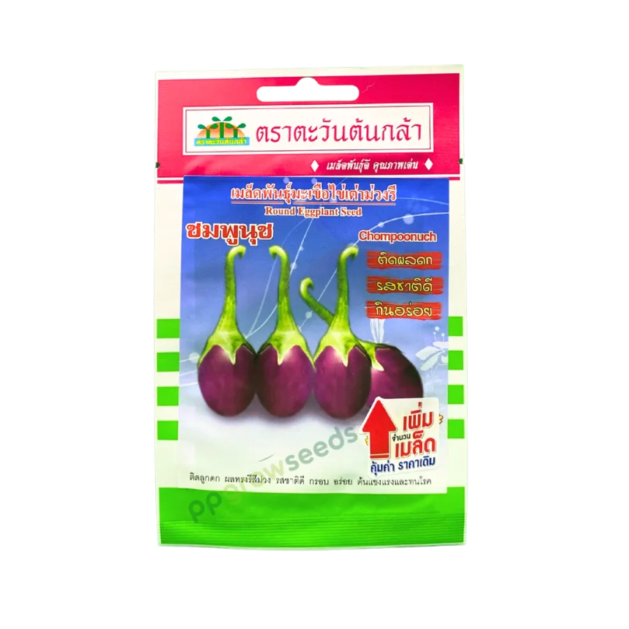 มะเขือไข่เต่า ชมพูนุช