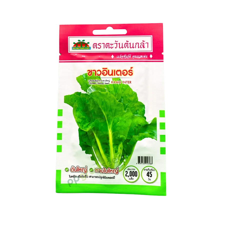 ผักกาดขาวใหญ่ ขาวอินเตอร์