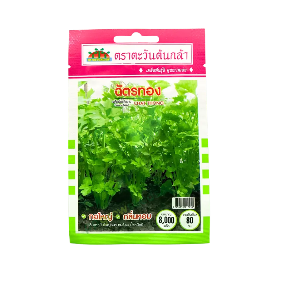 คื่นช่าย ฉัตรทอง