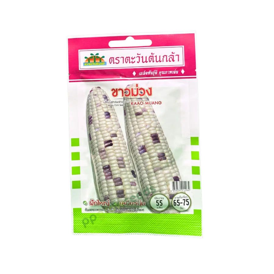 ข้าวโพดขาวม่วง ขาวม่วง