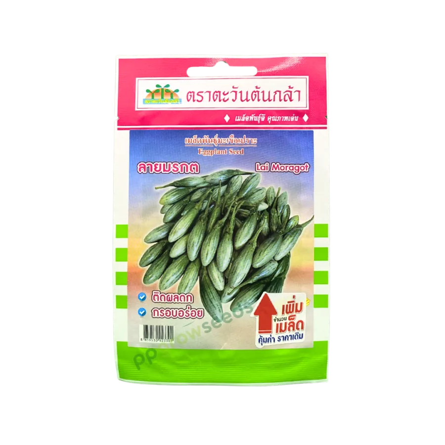 มะเขือเปราะ ลายมรกต