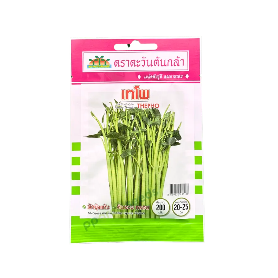 ผักบุ้งเย็นตาโฟ เทโพ