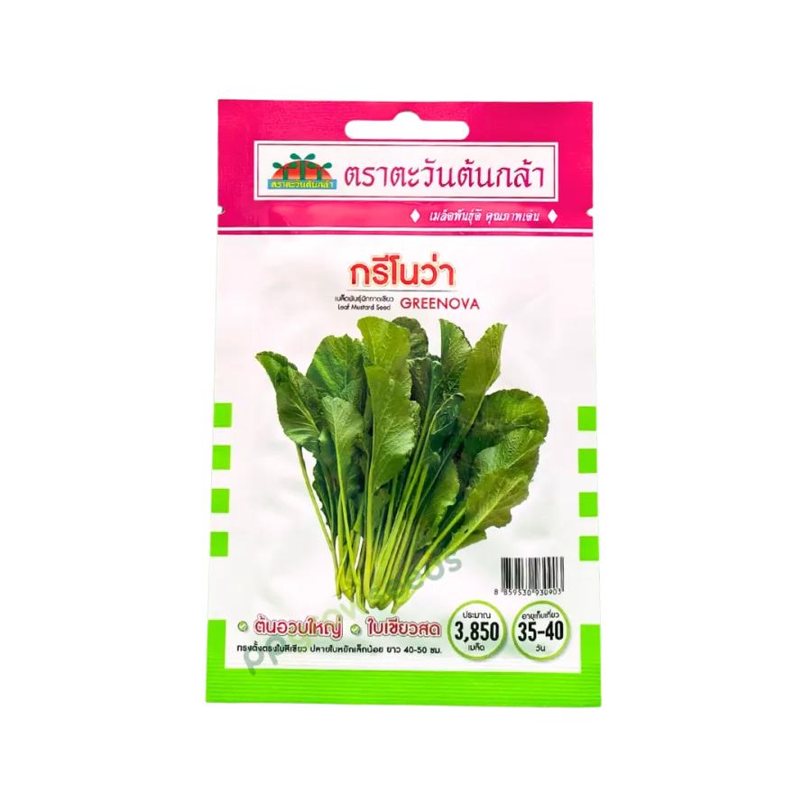 ผักกาดเขียว กรีโนว่า