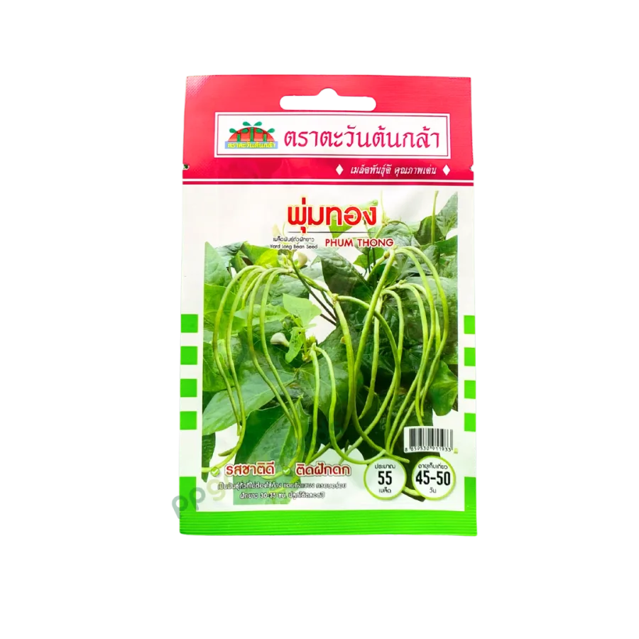 ถั่วฝักยาว พุ่มทอง