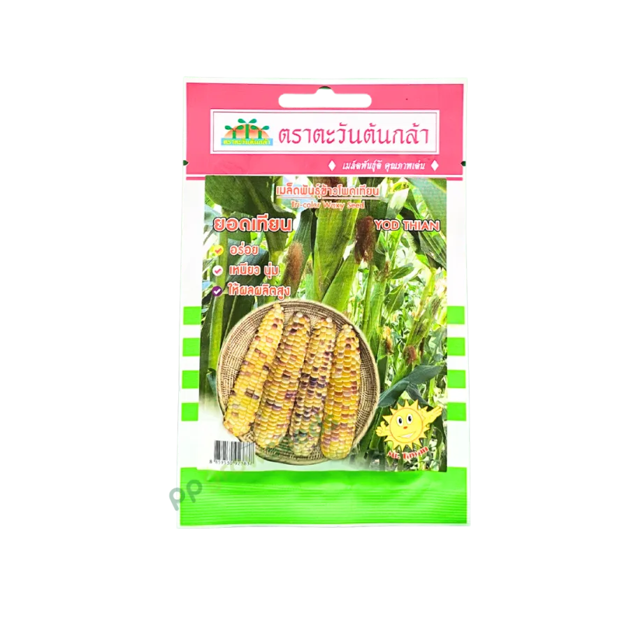 ข้าวโพดเทียนยอดเทียน
