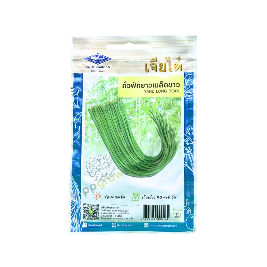 HG ถั่วฝักยาวเมล็ดขาว