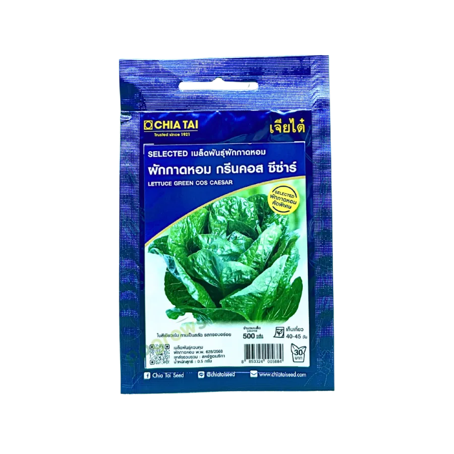 SE ผักกาดหอม กรีนคอส ซีซาร์