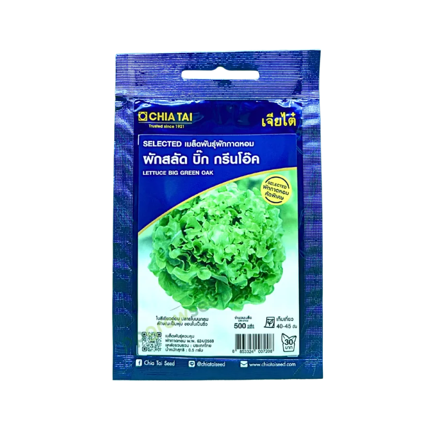 SE ผักกาดหอม บิ๊ก กรีนโอ๊ค
