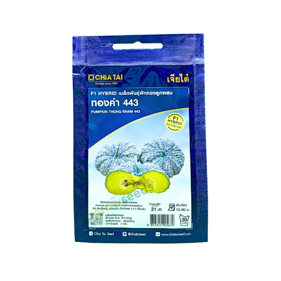 SE ฟักทองลูกผสม ทองคำ 443