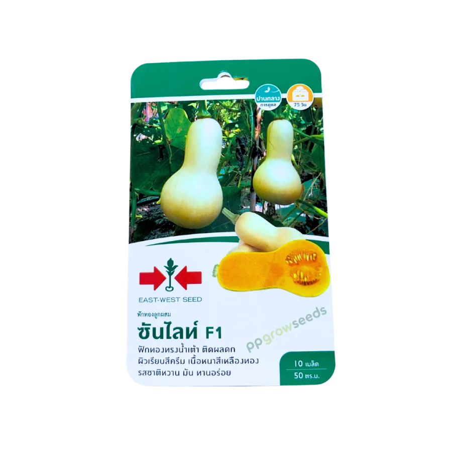 ฟักทองลูกผสม ซันไลท์ F1