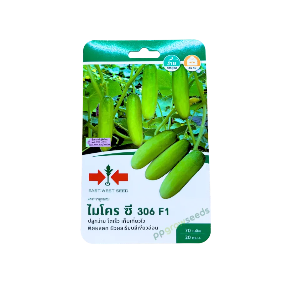 แตงกวา ไมโครซี 306 F1