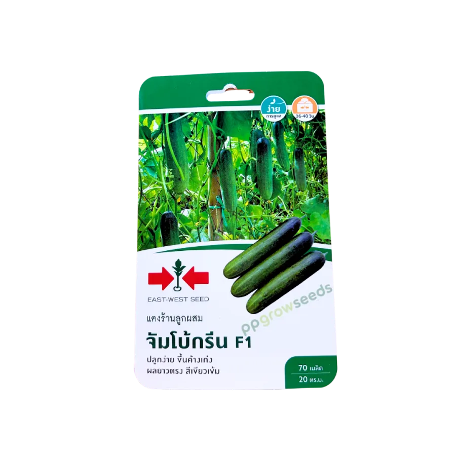 แตงร้าน จัมโบ้กรีน F1