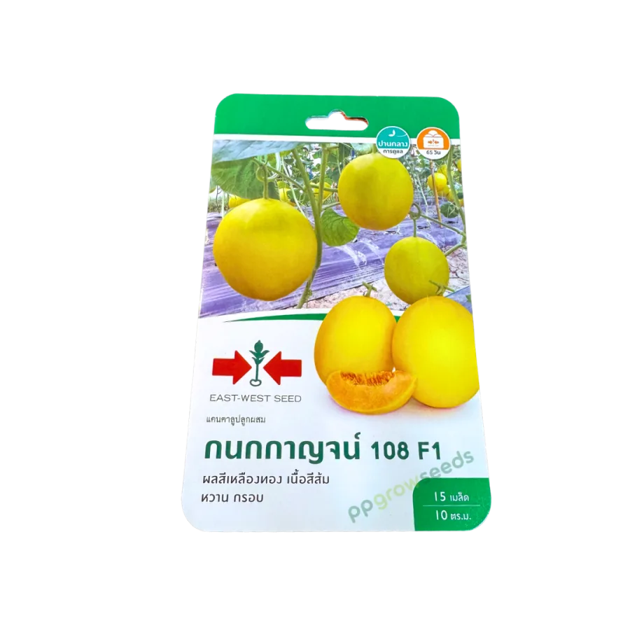 แคนตาลูป กนกกาญ