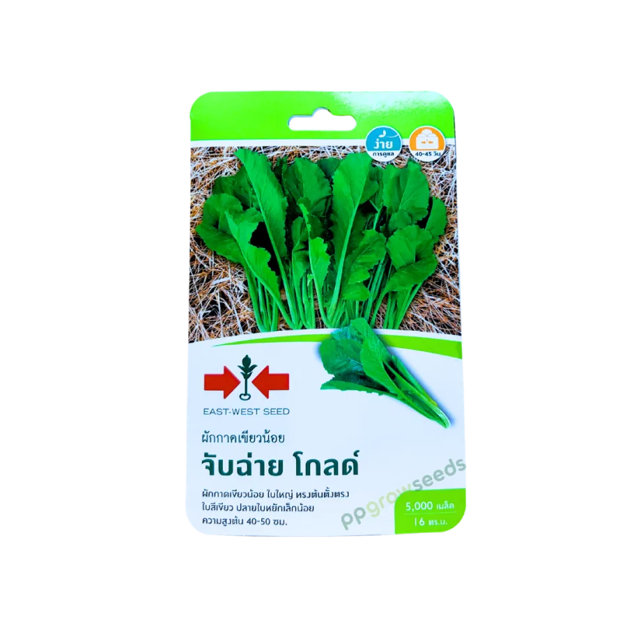 ผักกาดเขียวน้อย จับฉ่ายโกลด์