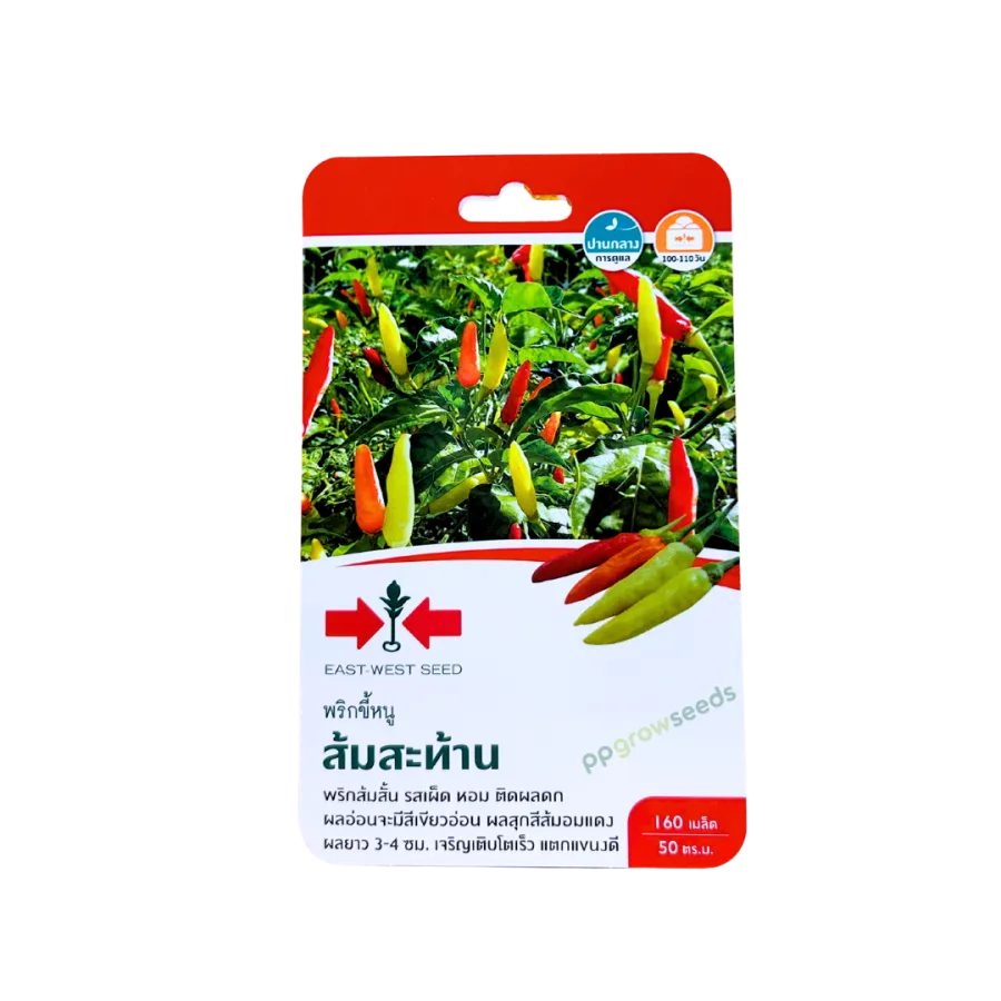 พริกขี้หนู ส้มสะท้าน