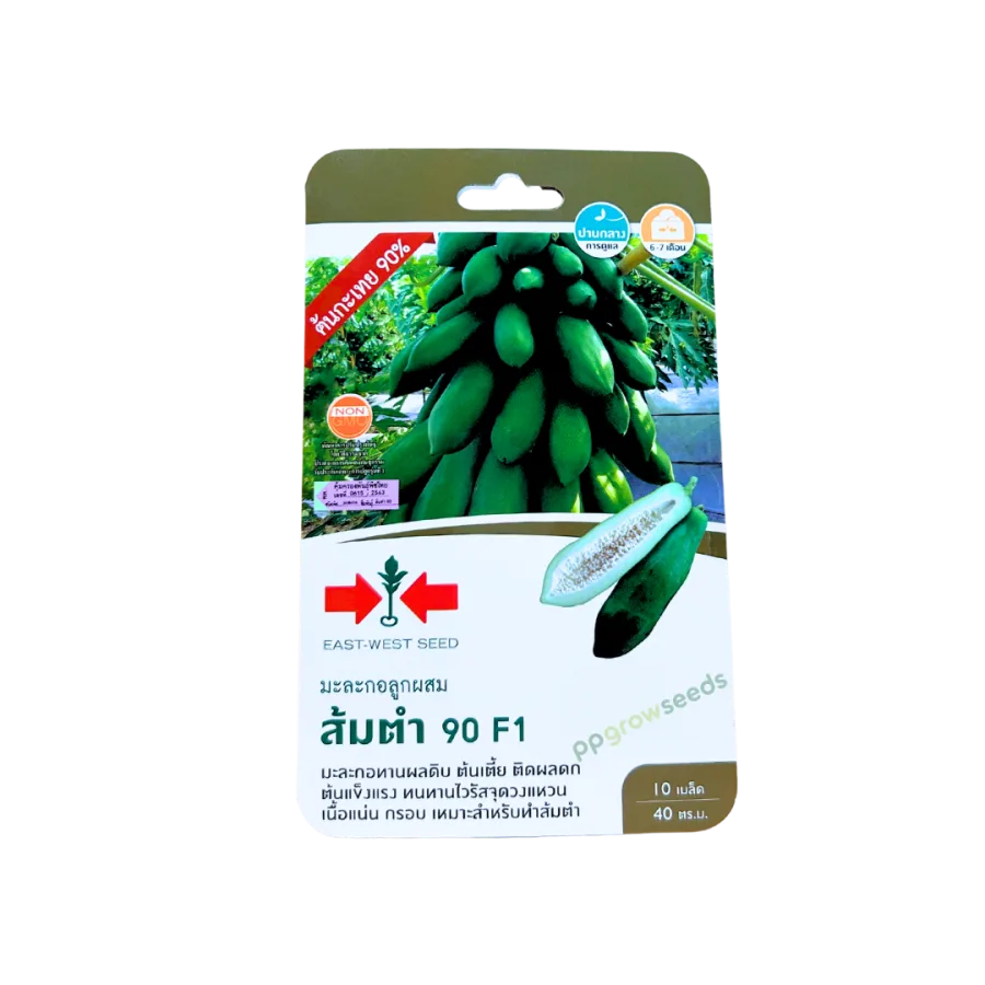 มะละกอ ลูกผสม (ส้มตำ90)