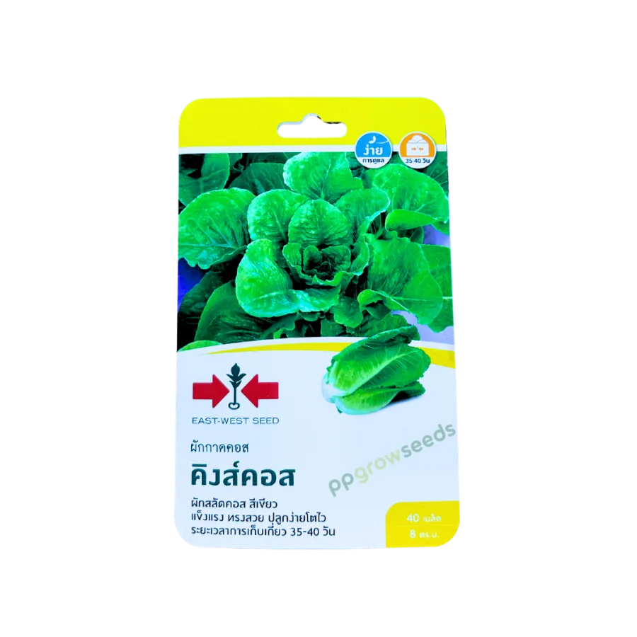 ผักกาดคอส คิงส์คอส