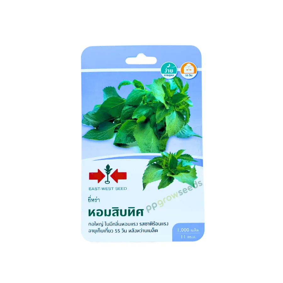 ยี่หร่า หอมสิบทิศ