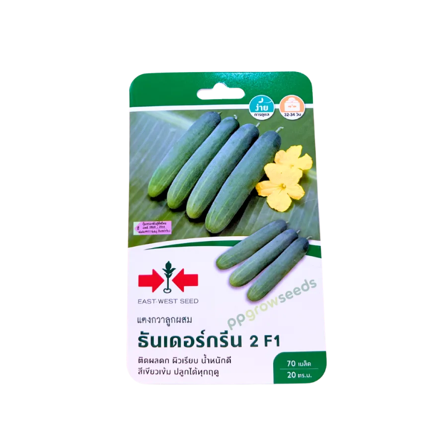 แตงกวาลูกผสม ธันเดอร์กรีน 2