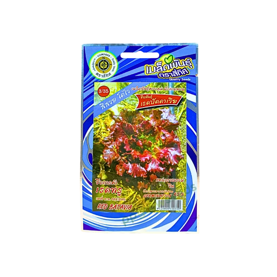 เรดบัตตาเวีย (เรดทรู)