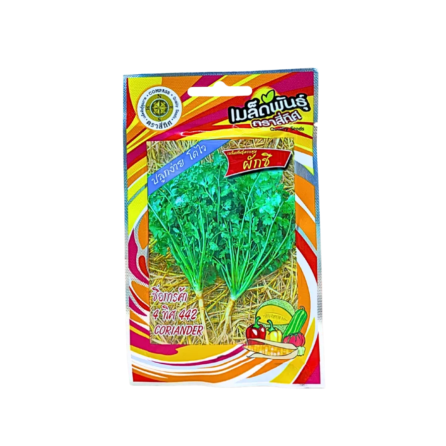 ผักชี