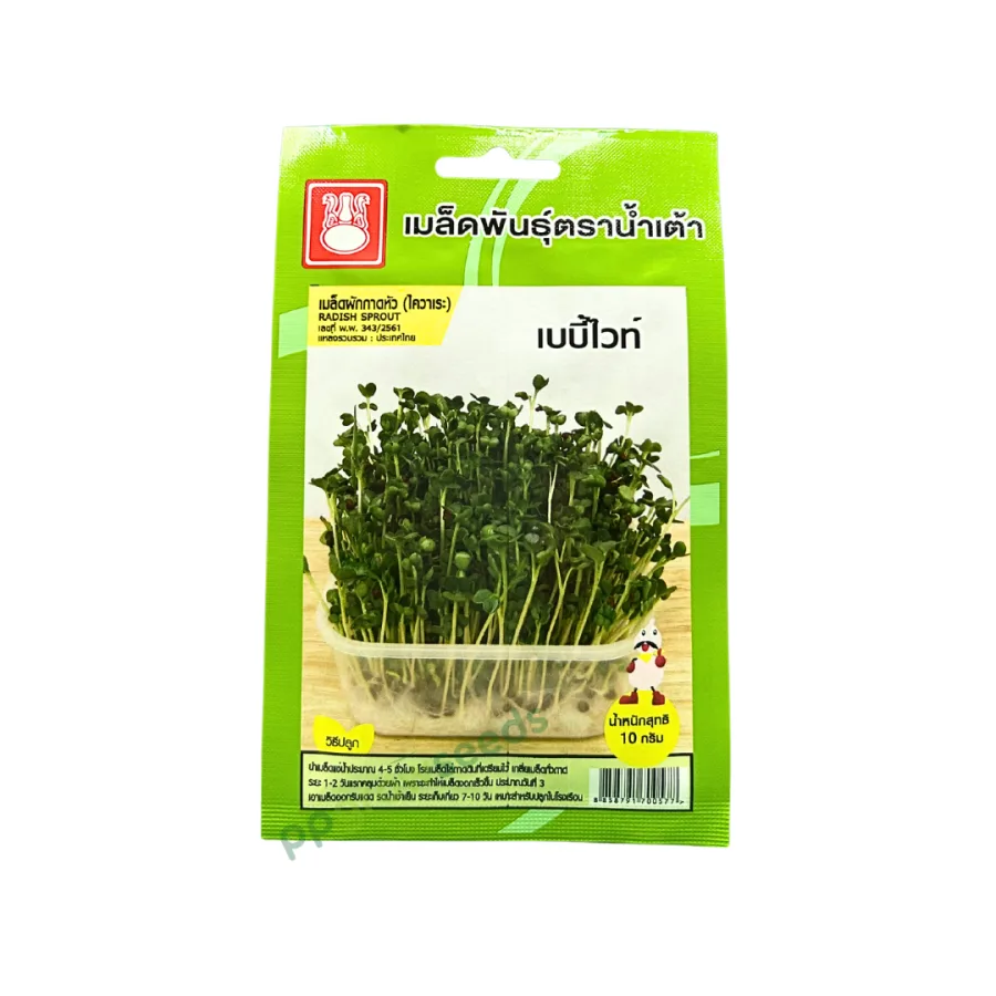เบบี้ไวท์