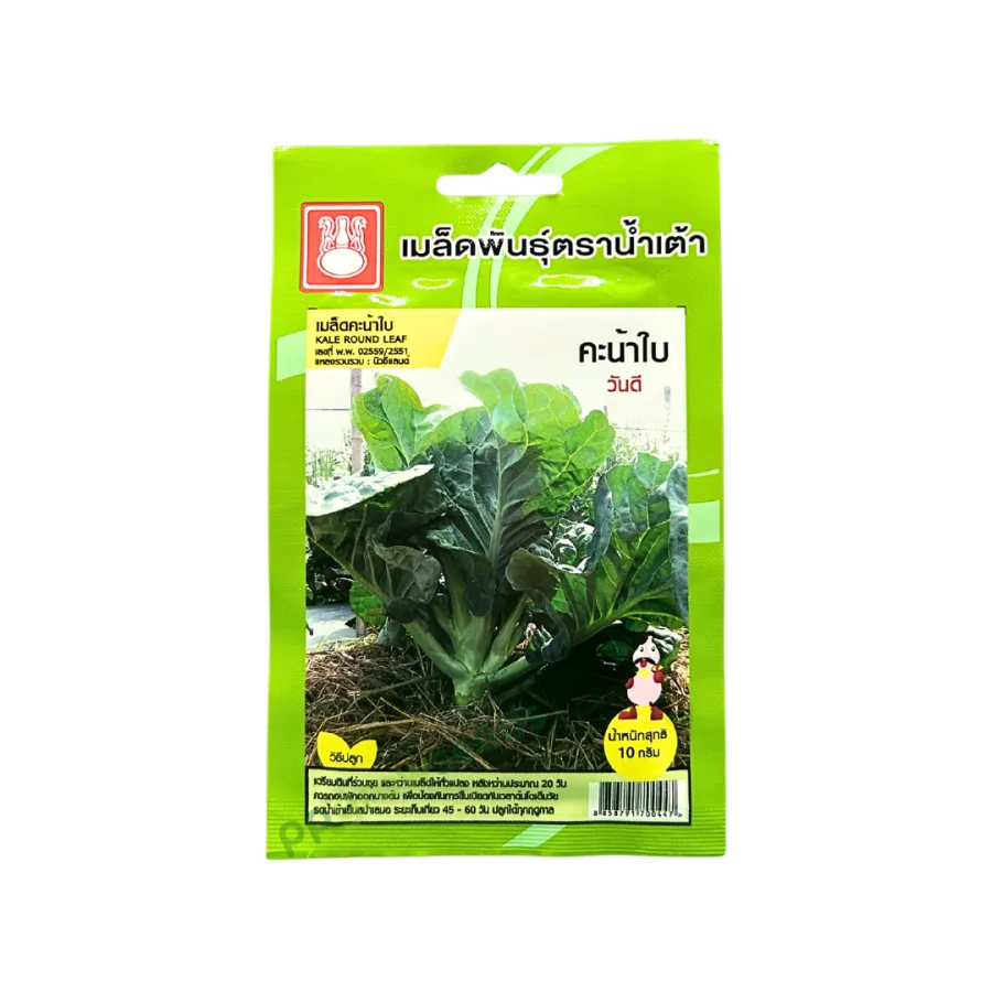 คะน้าใบ (วันดี)