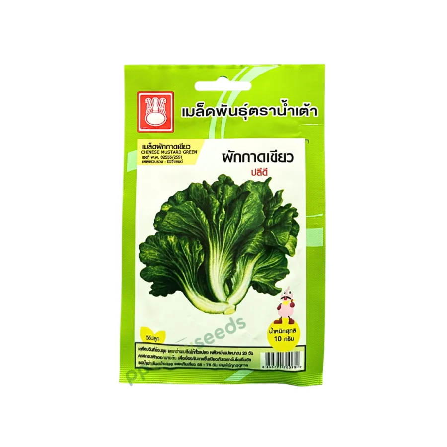 ผักกาดเขียว (ปลีดี)