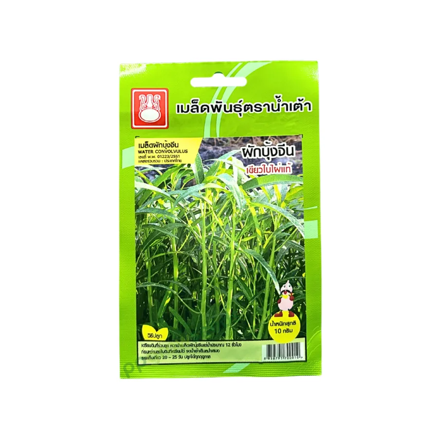 ผักบุ้งจีน (เขียวใบไผ่แท้)
